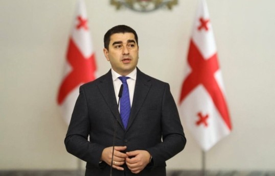 Gürcü spiker: Avropa vəsaitləri Gürcüstanda faşizm ideologiyasının təbliğinə sərf olunur