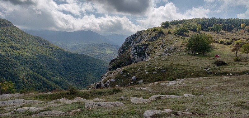 Şəhidlərin adlarını orada görmək məyus etdi – Yolverilməzdir!