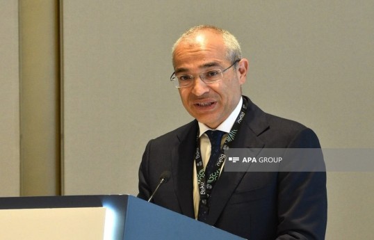 Mikayıl Cabbarov: Azərbaycan və Mərkəzi Asiya vahid iqtisadi məkan formalaşdırır